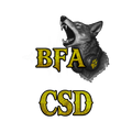 BFA CSD #4 Winter / Early Spring