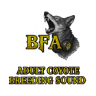 BFA Just Da Tip