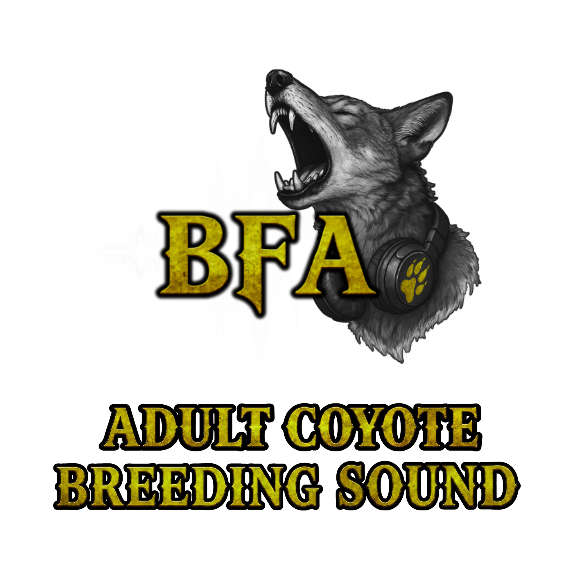 BFA Coyote Chirps
