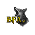 BustinFur Sound Manager