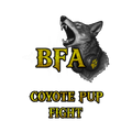 BFA Pup Combat