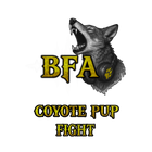 BFA Pillow Fight