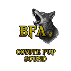 BFA Abandoned Pups