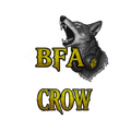 BFA Crow Ka Ka