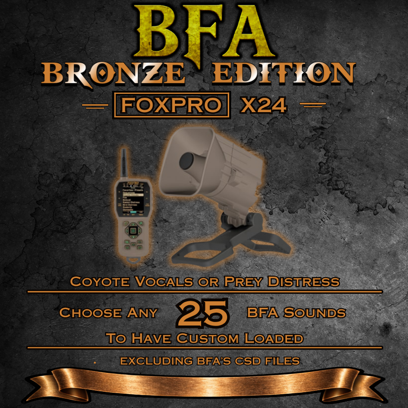 X24 BFA Bronze Edition