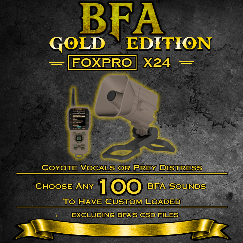 X24 BFA Gold Edition
