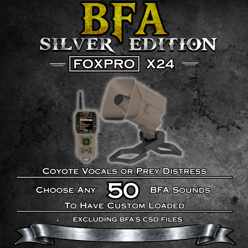 X24 BFA Silver Edition