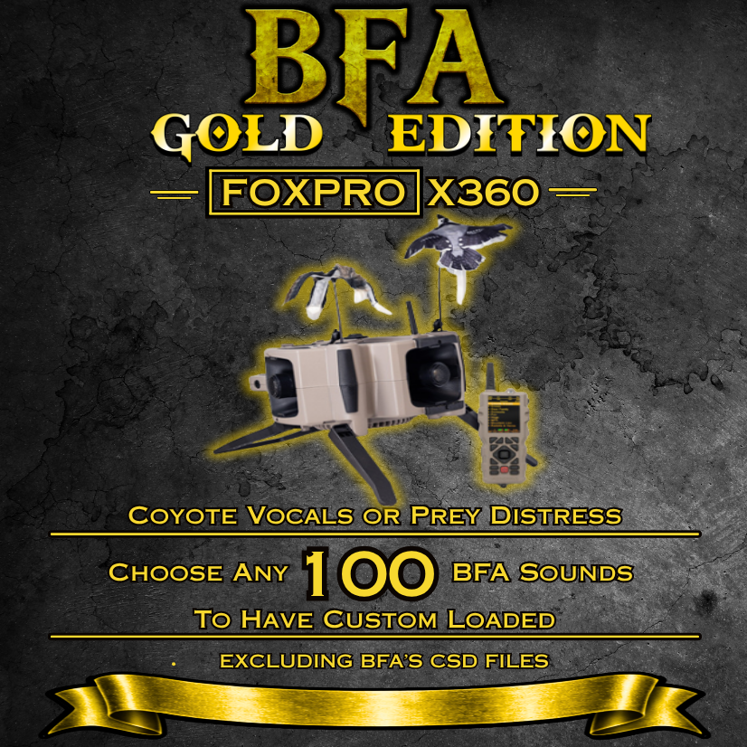X360 BFA Gold Edition