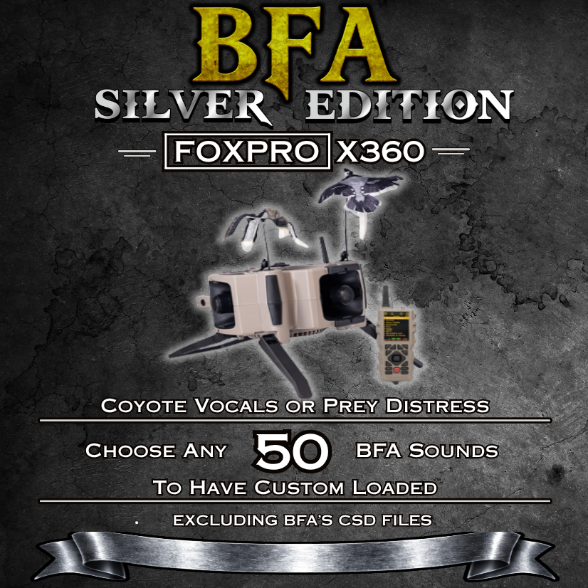 X360 BFA Silver Edition